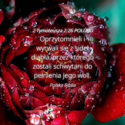 Picture 04 - 2 Tymoteusza 2:26 POLUBG - Oprzytomnieli i wyrwali się z sideł diabła, - Bible Verse Picture