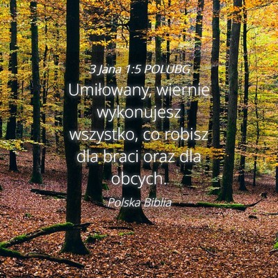 Picture 04 - 3 Jana 1:5 POLUBG - Umiłowany, wiernie wykonujesz wszystko, co - Bible Verse Picture