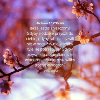 Picture 04 - Abdiasza 1:5 POLUBG - Jakże jesteś zniszczony! Gdyby złodzieje - Bible Verse Picture