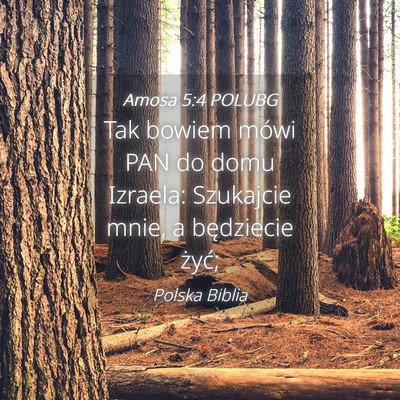 Picture 04 - Amosa 5:4 POLUBG - Tak bowiem mówi PAN do domu Izraela: Szukajcie - Bible Verse Picture