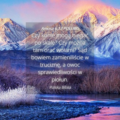 Picture 04 - Amosa 6:12 POLUBG - Czy konie mogą biegać po skale? Czy można tam - Bible Verse Picture