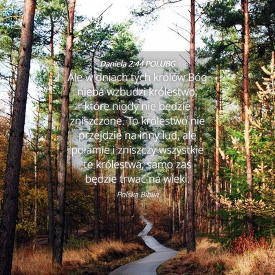 Picture 04 - Daniela 2:44 POLUBG - Ale w dniach tych królów Bóg nieba wzbudzi - Bible Verse Picture