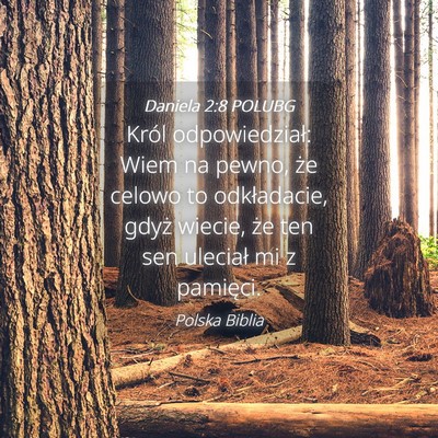 Picture 04 - Daniela 2:8 POLUBG - Król odpowiedział: Wiem na pewno, że celowo to - Bible Verse Picture