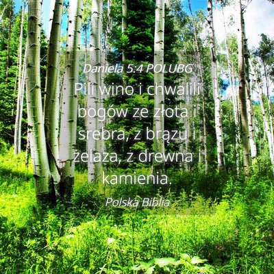 Picture 04 - Daniela 5:4 POLUBG - Pili wino i chwalili bogów ze złota i srebra, z - Bible Verse Picture