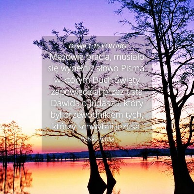 Picture 04 - Dzieje 1:16 POLUBG - Mężowie bracia, musiało się wypełnić słowo - Bible Verse Picture