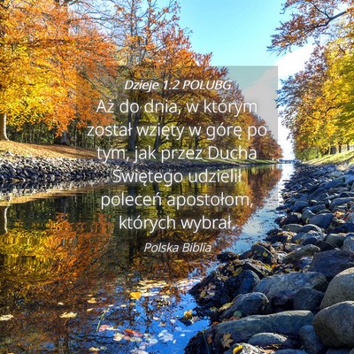 Picture 04 - Dzieje 1:2 POLUBG - Aż do dnia, w którym został wzięty w górę - Bible Verse Picture