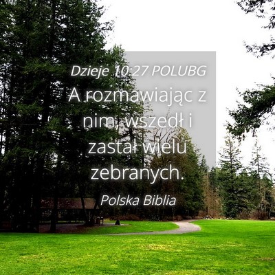 Picture 04 - Dzieje 10:27 POLUBG - A rozmawiając z nim, wszedł i zastał wielu - Bible Verse Picture