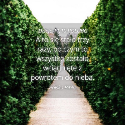 Picture 04 - Dzieje 11:10 POLUBG - A to się stało trzy razy, po czym to wszystko - Bible Verse Picture