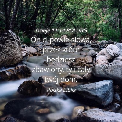 Picture 04 - Dzieje 11:14 POLUBG - On ci powie słowa, przez które będziesz - Bible Verse Picture