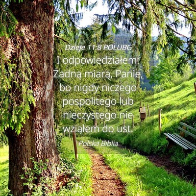 Picture 04 - Dzieje 11:8 POLUBG - I odpowiedziałem: Żadną miarą, Panie, bo - Bible Verse Picture