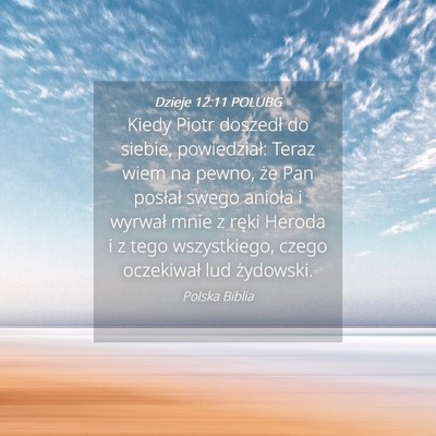 Picture 04 - Dzieje 12:11 POLUBG - Kiedy Piotr doszedł do siebie, powiedział: - Bible Verse Picture