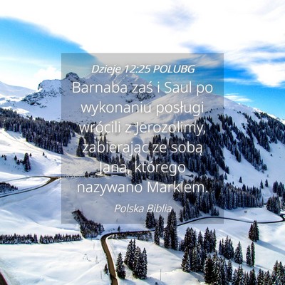 Picture 04 - Dzieje 12:25 POLUBG - Barnaba zaś i Saul po wykonaniu posługi - Bible Verse Picture