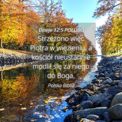 Picture 04 - Dzieje 12:5 POLUBG - Strzeżono więc Piotra w więzieniu, a - Bible Verse Picture