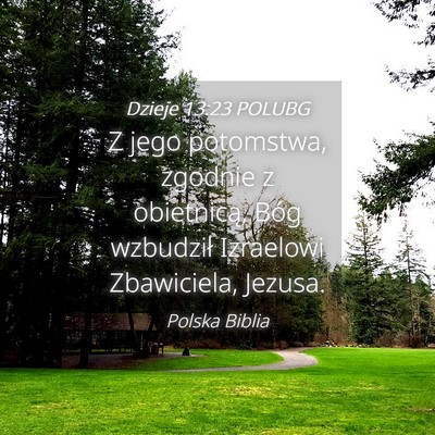 Picture 04 - Dzieje 13:23 POLUBG - Z jego potomstwa, zgodnie z obietnicą, Bóg - Bible Verse Picture