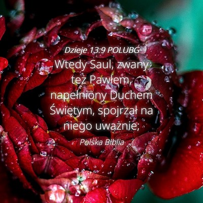 Picture 04 - Dzieje 13:9 POLUBG - Wtedy Saul, zwany też Pawłem, napełniony - Bible Verse Picture