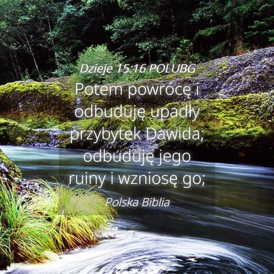 Picture 04 - Dzieje 15:16 POLUBG - Potem powrócę i odbuduję upadły przybytek - Bible Verse Picture