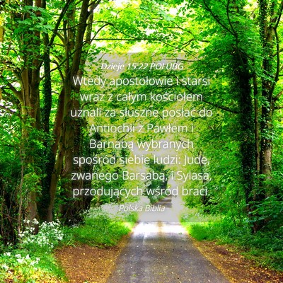 Picture 04 - Dzieje 15:22 POLUBG - Wtedy apostołowie i starsi wraz z całym - Bible Verse Picture