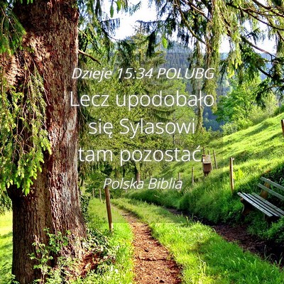 Picture 04 - Dzieje 15:34 POLUBG - Lecz upodobało się Sylasowi tam - Bible Verse Picture