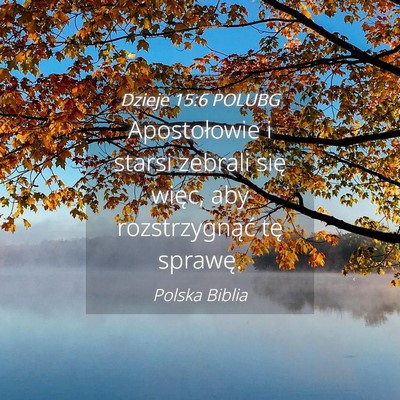 Picture 04 - Dzieje 15:6 POLUBG - Apostołowie i starsi zebrali się więc, aby - Bible Verse Picture