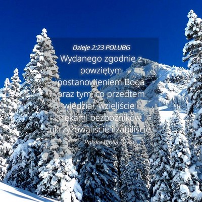 Picture 04 - Dzieje 2:23 POLUBG - Wydanego zgodnie z powziętym postanowieniem Boga - Bible Verse Picture