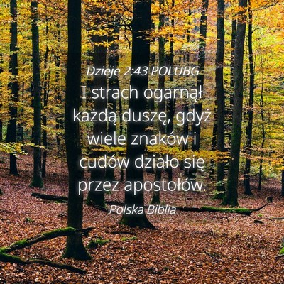 Picture 04 - Dzieje 2:43 POLUBG - I strach ogarnął każdą duszę, gdyż wiele - Bible Verse Picture