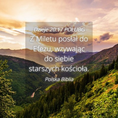 Picture 04 - Dzieje 20:17 POLUBG - Z Miletu posłał do Efezu, wzywając do siebie - Bible Verse Picture