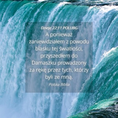 Picture 04 - Dzieje 22:11 POLUBG - A ponieważ zaniewidziałem z powodu blasku tej - Bible Verse Picture