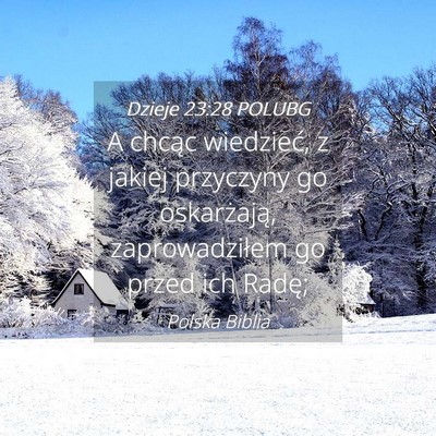 Picture 04 - Dzieje 23:28 POLUBG - A chcąc wiedzieć, z jakiej przyczyny go - Bible Verse Picture