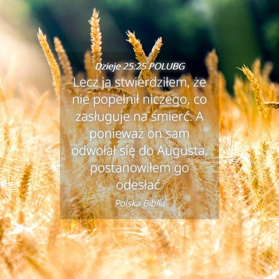 Picture 04 - Dzieje 25:25 POLUBG - Lecz ja stwierdziłem, że nie popełnił - Bible Verse Picture