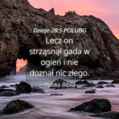 Picture 04 - Dzieje 28:5 POLUBG - Lecz on strząsnął gada w ogień i nie doznał - Bible Verse Picture