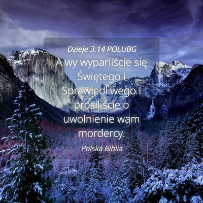 Picture 04 - Dzieje 3:14 POLUBG - A wy wyparliście się Świętego i - Bible Verse Picture