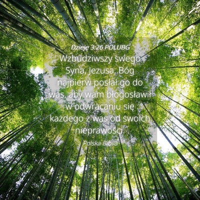 Picture 04 - Dzieje 3:26 POLUBG - Wzbudziwszy swego Syna, Jezusa, Bóg najpierw - Bible Verse Picture
