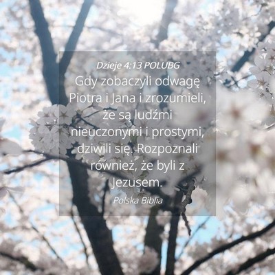 Picture 04 - Dzieje 4:13 POLUBG - Gdy zobaczyli odwagę Piotra i Jana i zrozumieli, - Bible Verse Picture