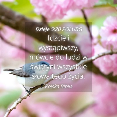Picture 04 - Dzieje 5:20 POLUBG - Idźcie i wystąpiwszy, mówcie do ludzi w - Bible Verse Picture