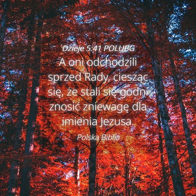 Picture 04 - Dzieje 5:41 POLUBG - A oni odchodzili sprzed Rady, ciesząc się, że - Bible Verse Picture