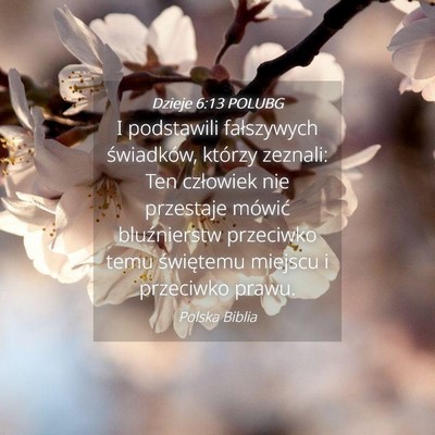 Picture 04 - Dzieje 6:13 POLUBG - I podstawili fałszywych świadków, którzy - Bible Verse Picture