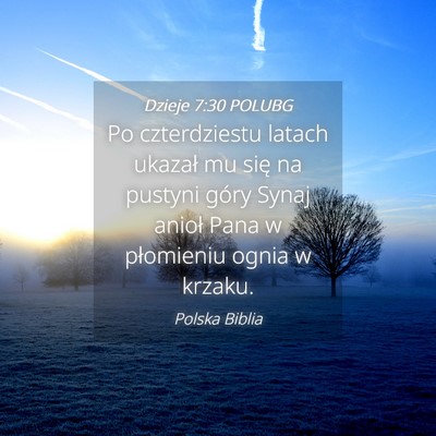 Picture 04 - Dzieje 7:30 POLUBG - Po czterdziestu latach ukazał mu się na pustyni - Bible Verse Picture