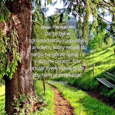 Picture 04 - Dzieje 7:38 POLUBG - On to był w zgromadzeniu na pustyni z aniołem, - Bible Verse Picture