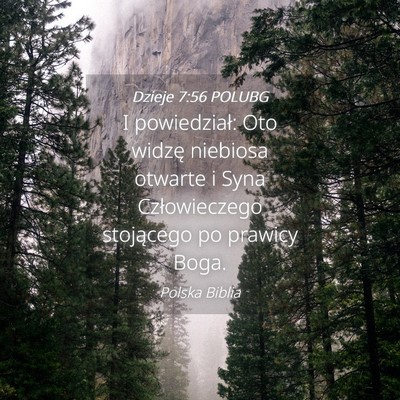 Picture 04 - Dzieje 7:56 POLUBG - I powiedział: Oto widzę niebiosa otwarte i Syna - Bible Verse Picture