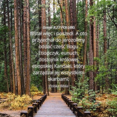 Picture 04 - Dzieje 8:27 POLUBG - Wstał więc i poszedł. A oto przyjechał do - Bible Verse Picture