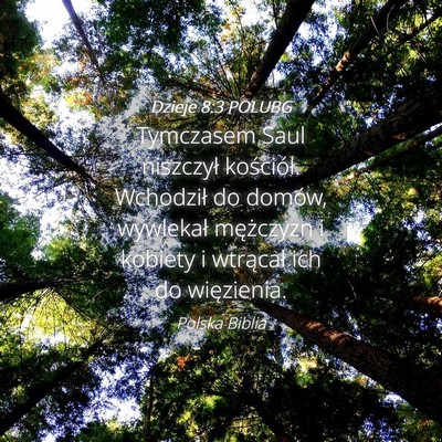 Picture 04 - Dzieje 8:3 POLUBG - Tymczasem Saul niszczył kościół. Wchodził do - Bible Verse Picture