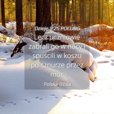 Picture 04 - Dzieje 9:25 POLUBG - Lecz uczniowie zabrali go w nocy i spuścili w - Bible Verse Picture