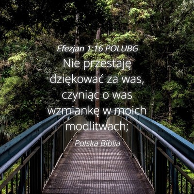 Picture 04 - Efezjan 1:16 POLUBG - Nie przestaję dziękować za was, czyniąc o was - Bible Verse Picture