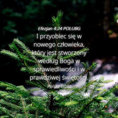 Picture 04 - Efezjan 4:24 POLUBG - I przyoblec się w nowego człowieka, który jest - Bible Verse Picture
