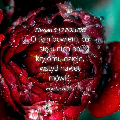 Picture 04 - Efezjan 5:12 POLUBG - O tym bowiem, co się u nich po kryjomu dzieje, - Bible Verse Picture