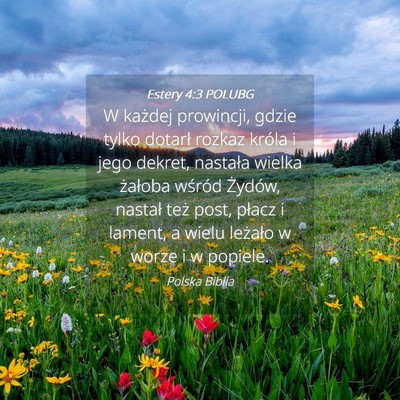 Picture 04 - Estery 4:3 POLUBG - W każdej prowincji, gdzie tylko dotarł rozkaz - Bible Verse Picture