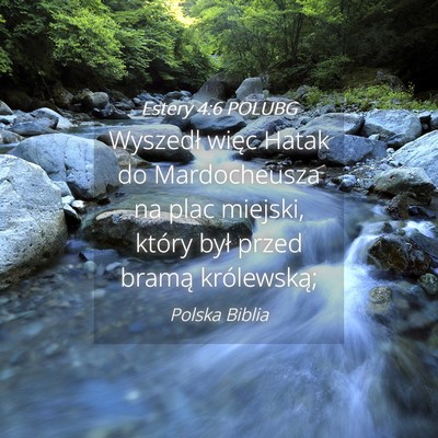 Picture 04 - Estery 4:6 POLUBG - Wyszedł więc Hatak do Mardocheusza na plac - Bible Verse Picture