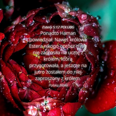 Picture 04 - Estery 5:12 POLUBG - Ponadto Haman powiedział: Nawet królowa Estera - Bible Verse Picture
