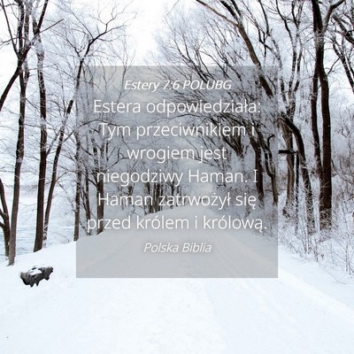 Picture 04 - Estery 7:6 POLUBG - Estera odpowiedziała: Tym przeciwnikiem i - Bible Verse Picture