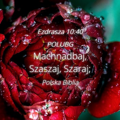 Picture 04 - Ezdrasza 10:40 POLUBG - Machnadbaj, Szaszaj, - Bible Verse Picture